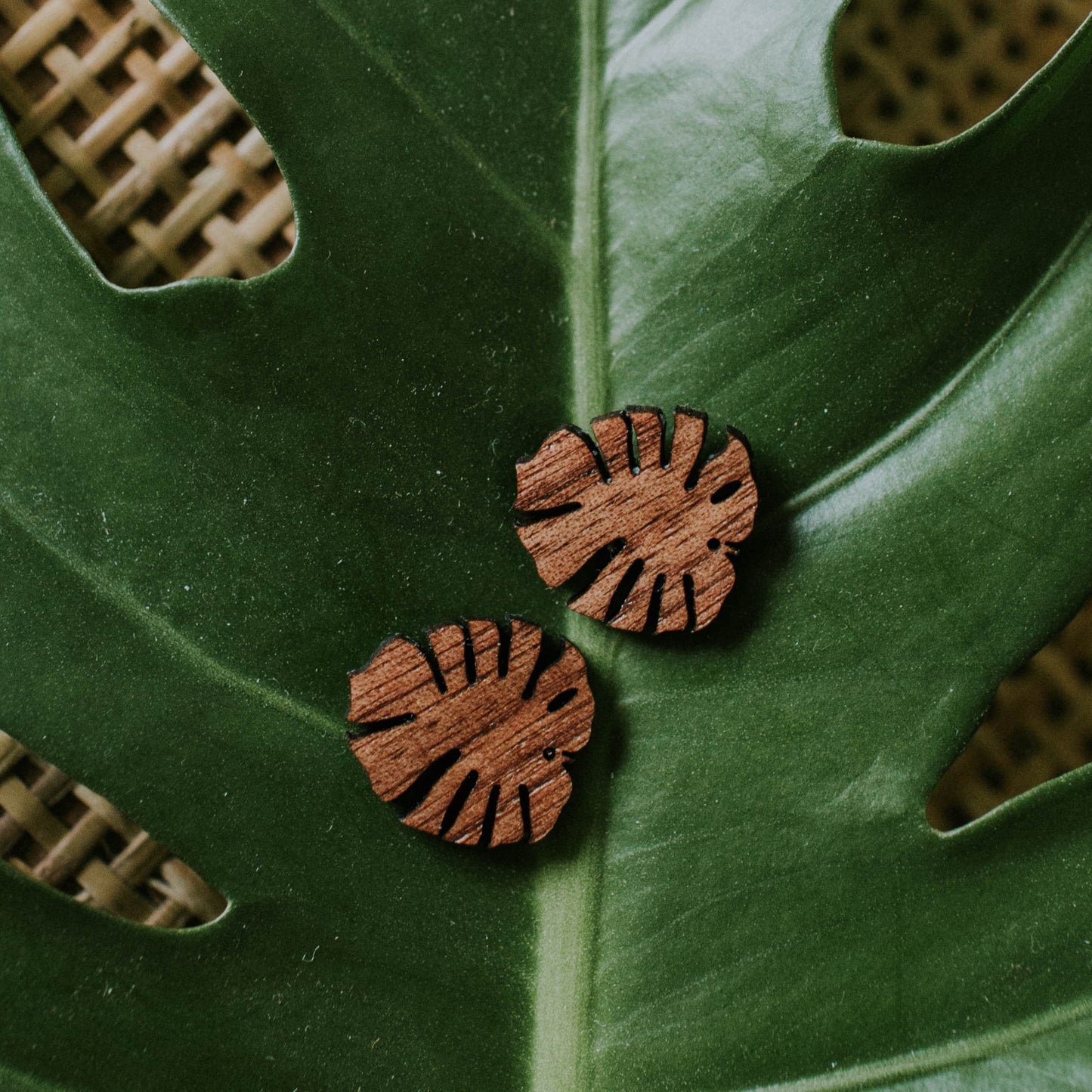 Monstera Leaf Post Earrings, Wooden, Laser cut, Posts